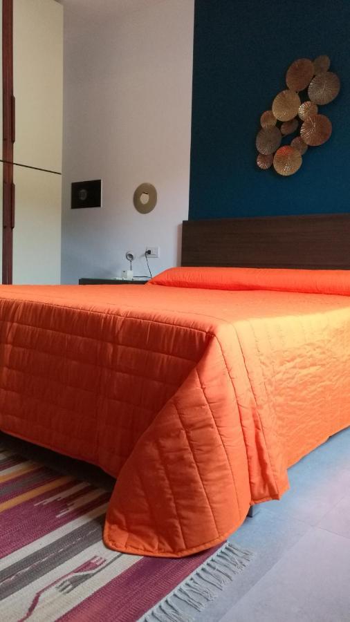 Design Apartment N. 41 ترينتو المظهر الخارجي الصورة